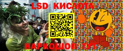 прущие крисы Будённовск