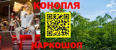 прущие крисы Будённовск