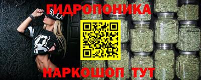 прущие крисы Будённовск