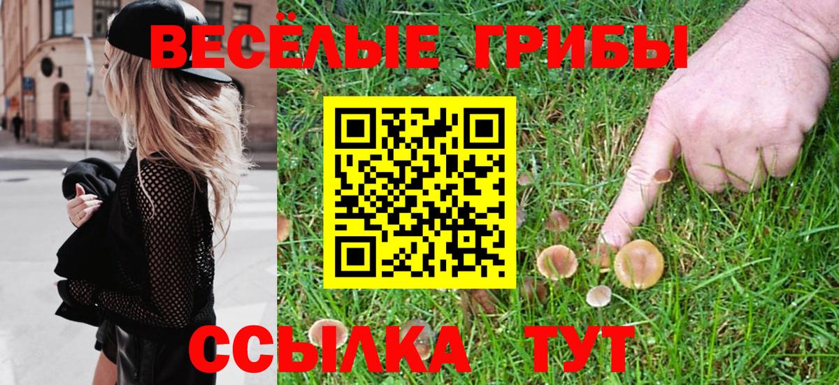 Сафоново  Псилоцибиновые грибы GOLDEN TEACHER  купить наркотики цена  Вход с VPN 