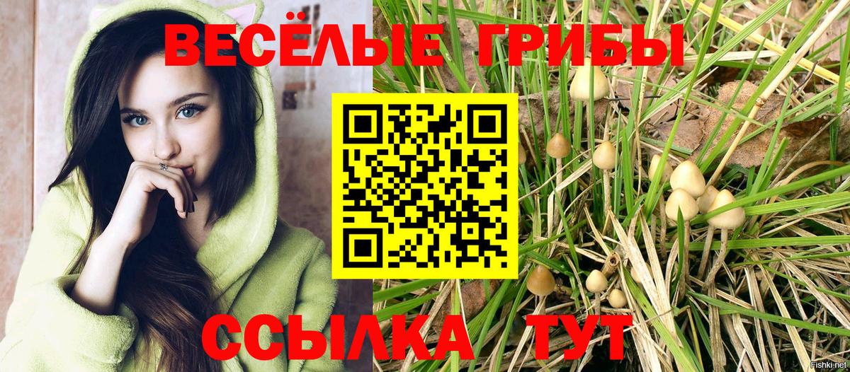 Галлюциногенные грибы GOLDEN TEACHER Сафоново